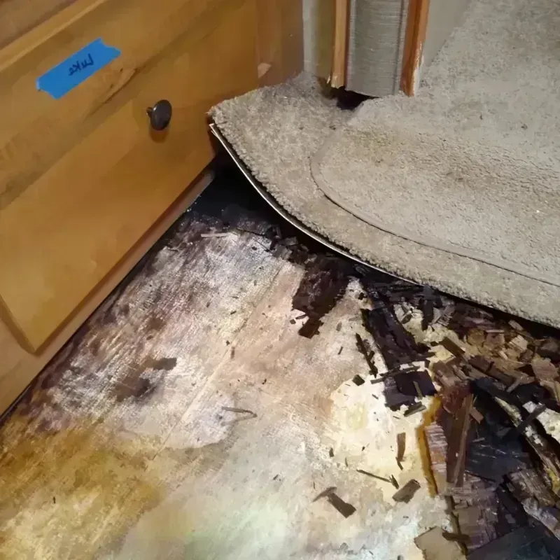 Wood Floor Water Damage in Iraan, TX